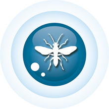 control de plagas de insectos